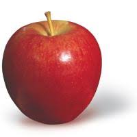Apple Varieties Of New York State Ny Apple Association