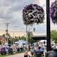 Downtown Gaylord Summer Concert Series