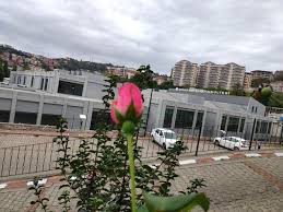 Beü mühendislik fakültesi dekanlığı zonguldak •. O Xrhsths Zonguldak Bulent Ecevit Universitesi Sto Twitter Her Sey Vaktini Bekler Ne Gul Vaktinden Once Acar Ne Gunes Vaktinden Erken Dogar Kampuste Bu Sabah Hava Bulutlu Sizin Yoklugunuzun Huznu Sakli Zbeu