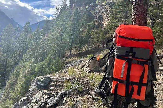 Understanding OTC Hunt Opportunities For First Time Western - Petersen's  Hunting