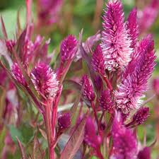 Pin On Our Instagram