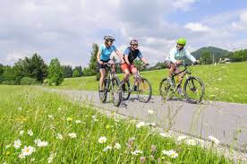 Rottenburg 2500 Radfahrer Taglich Mussen Nachgewiesen Werden Rottenburg Schwarzwalder Bote
