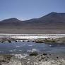 Calama: Tribunal admite querella por daño ambiental en Salar, tras denuncia de comunidad indígena