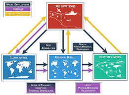 Frontiers Observational Needs Supporting Marine Ecosystems