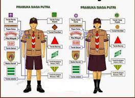 Check spelling or type a new query. Pakaian Pramuka Siaga Putri Dan Putra Materi Lengkap Kampung Ilmu Artikel Motivasi Motivasi Belajar Materi Pelajaran