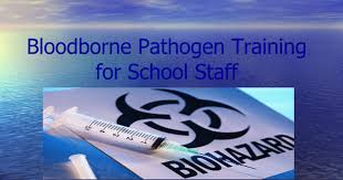 No contracts, pay as you go, cumulative discounts. Bloodborne Pathogen Training For School Staff Ppt Google Slides