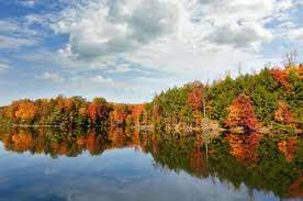 Search for restaurants, hotels, museums and more. 8 Best Things To Do In Kingsport Tn