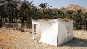 Image result for sukkot tent