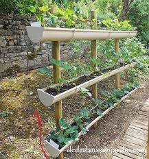 Epingle Sur Jardinagem