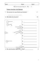 4teachers Klassenarbeit Zum Thema Knochen Und Gelenke