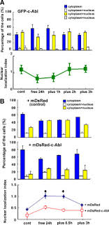 021 407 42 00 apelabil din străinătate. C Abl Tyrosine Kinase Regulates Serum Induced Nuclear Export Of Diacylglycerol Kinase A By Phosphorylation At Tyr 218 Sciencedirect