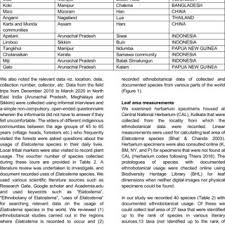 Image result for Elatostema paivaeanum