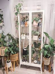 This is the ultimate ikea hack for plant parents some ikea customers have found creative ways to transform their shelving units into the indoor greenhouse of their dreams. Milsbo Ikea Greenhouse House Plants Decor House Plants Indoor Plant Decor Indoor