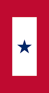 A thin red line flag is a variation of the american flag that is black and white with one red stripe. Service Flag Wikipedia