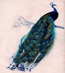 Decorate your tables with beautiful handmade doilies. Crafts Beautiful Peacock Cross Stitch Pattern Look Buyers Can Download Your Pattern As Soon As
