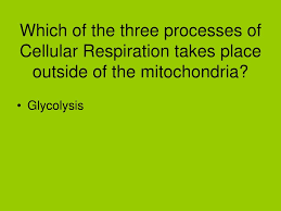 • cellular respiration equation (products and reactants) c6h12o6 + o2 æ co2 + h2o + energy reactants products • oxidation/reduction (include examples) o oxidation: Ppt Review For Photosynthesis And Cellular Respiration Powerpoint Presentation Id 365918