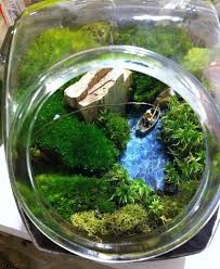 Terrarium Kara Yosunu Google Da Ara Minyatur Bahceler Terrarium