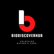 BSI Logo