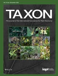 Image result for Chlorophytum gallabatense