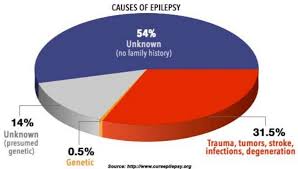 epileptic children have low levels of vitamin d vitamindwiki