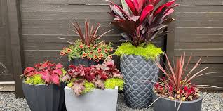 Check spelling or type a new query. How To Group Container Gardens Together Better Homes Gardens