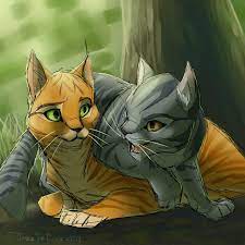 Firestar And Graystripe Both My Fav Charactors Warrior Cats Art Warrior Cats Books Warrior Cats Fan Art