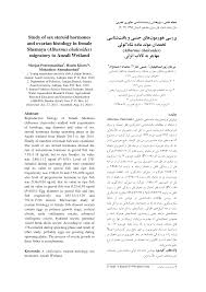 سیفلیس - آزمایشگاه تشخیص طبی بصیر اصفهان