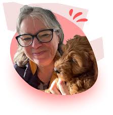 Prestige Dog Grooming