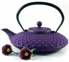 Japanese Cast Iron Tea Pot Iwachu Kambine Tetsubin Tea Pots Tea Cast Iron Tea Pot