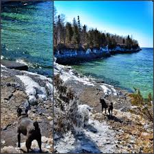 Check spelling or type a new query. The Very Dog Friendly Robert G Wehle State Park I Love Upstate New York
