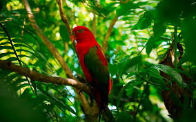 Sabes qué es Turismo de Naturaleza? | Colombian Adventure