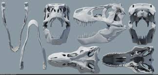 Tyrannosaurus Rex Skull By Mithoskuu Skull Model Tyrannosaurus Rex Tyrannosaurus