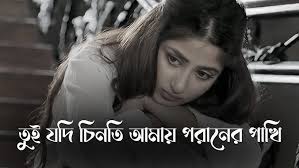 Ke Tui Bol Lyrics by Arijit Singh মন আমার তোর কিনারে from Herogiri