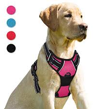 Dog Chest Harness Amazon Com