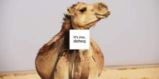 Committees skew towards compromised decisions with a little bit of everybody's different views. Daheq The Camel Case A Camel Is A Horse Designed By Committee