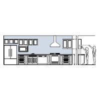 Palm trees in plan and elevation, deciduous and coniferous trees. Elevation Plan Templates