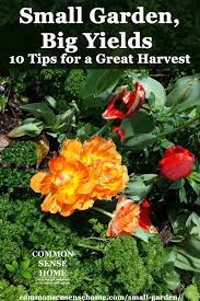 Outdoors & gardening entertaining lifestyle the block win directory. Small Garden Ideas 10 Tips To Grow More Food In Less Space