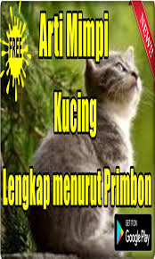 Daripada bingung mengartikan sendiri lebih baik yuk ikuti panduan dari primbon jawa dibawah ini. Arti Mimpi Kucing Lengkap Menurut Primbon For Android Apk Download