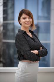A deținut companiile astra asigurări, axa life insurance, unirea shopping center, medien holding (trustul care deține ziarul românia liberă) și fc oțelul galați prin intermediul companiei the nova group. Elena Adamescu Vnlaw
