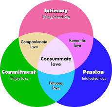 Pin On Defining Love