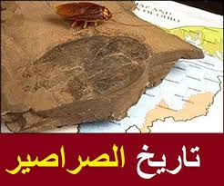 Cricket (disambiguation) — cricket is a bat and ball sport contested by two teams. Ø§Ù†ÙˆØ§Ø¹ Ø§Ù„Ø­Ø´Ø±Ø§Øª Ø§Ù„ØªÙŠ ØªÙ‡Ø§Ø¬Ù… Ø§Ù„Ù…Ù†Ø§Ø²Ù„ ÙˆØ·Ø±Ù‚ Ù…ÙƒØ§ÙØ­ØªÙ‡Ø§ Ø¨Ø§Ù„ØªÙØµÙŠÙ„