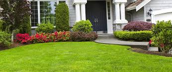 Lawn Care Service Bronx NY