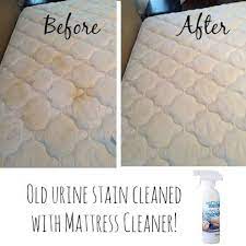 Obviously, your first job is to check the tag on the cover for any specific instructions. The Mattress Cleaner Is One Of My Favs If You Have Allergies Or Asthma I Highly Recommend This Product It S Mattress Cleaner Norwex Norwex Mattress Cleaner