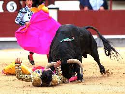 スペイン：闘牛士が闘牛中に死亡 - FIRSTonline