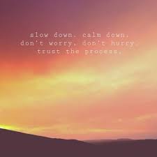  Slow Down Trust The Process Steps Of Faith Inspirational Quotes
