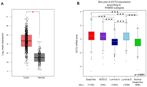 Your diagnosis will determine the symptoms, screenings, and treatments you receive. Overexpression Of Ect2 Is A Strong Poor Prognostic Factor In Er Breast Cancer