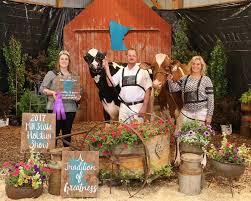 2017 Minnesota State Holstein Show