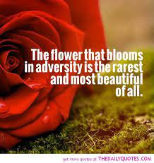 One of my favourite quotes from one of my favourite movies! The Flower That Blooms In Adversity Is The Rarest And Most Beautiful Of All