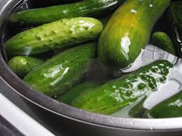 Cucumbers are often grown by home ga. Cucumbers Seasonal Recipe Round Up Cucumber Recipes Seasoning Recipes Cucumbers