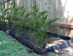 Easily use to create a raised layer of mulch either way, it will create a visual barrier that protects the tree's root system and produces a great. Pin On Backyard